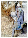 Photographed in Niger on the piste between Tamanraset and Agadez 1975