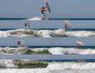 Collage of multiple shots of a surfer riding a wave at the Playa Zicatela.