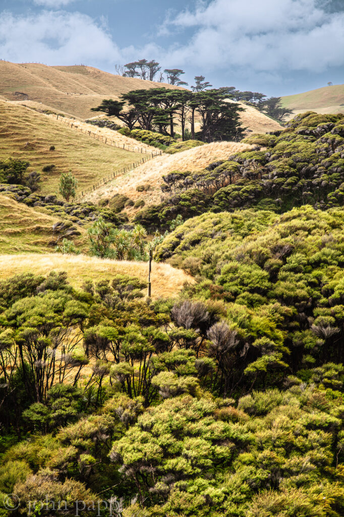 Wharariki Beach