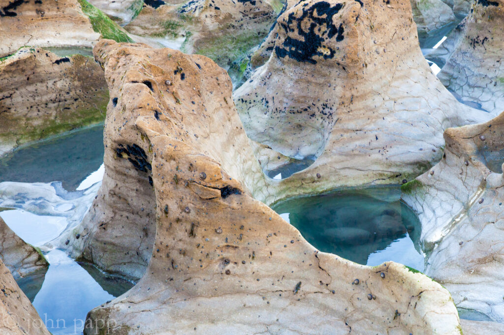 Paaturau Shore Erosion