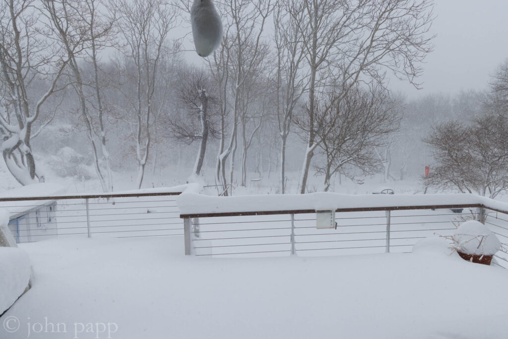 Snow-covered back deck during the 2026 blizzard, with trees in the background
