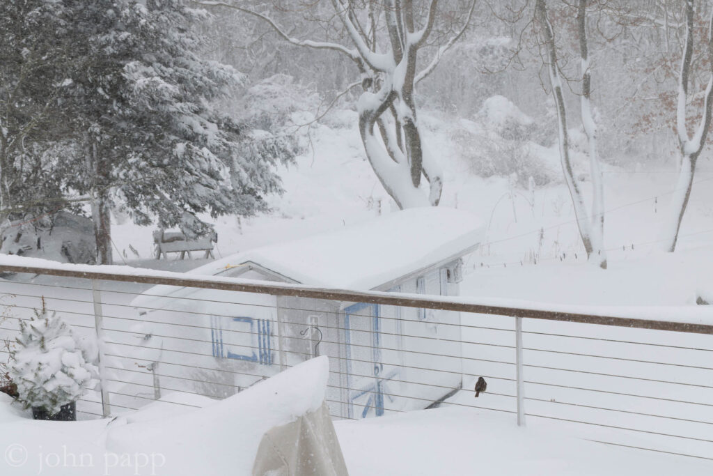 Shed beyond deck buried in snow