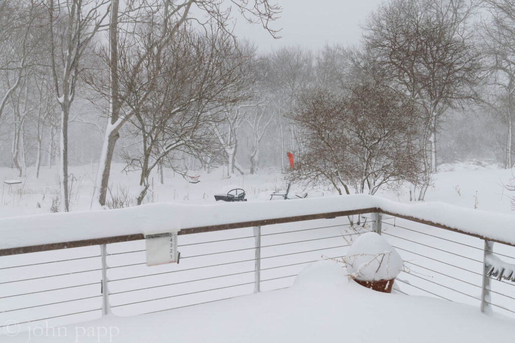 Deck and patio and trees in white out