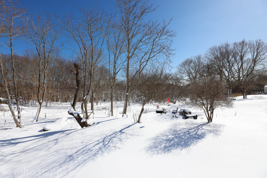 Back yard in sun and snow