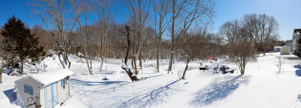 Whole Back yard in sun and snow