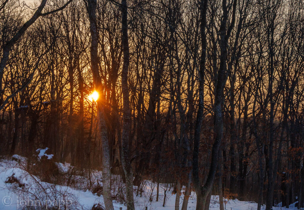 Sunrise days after the storm through the trees