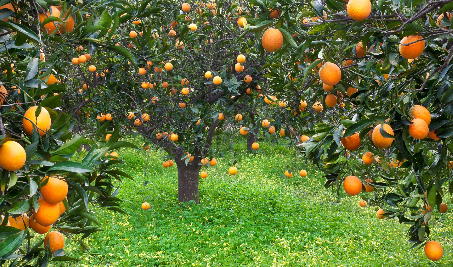 531715e3 327b 45f6 a344 97ff60afc2d2