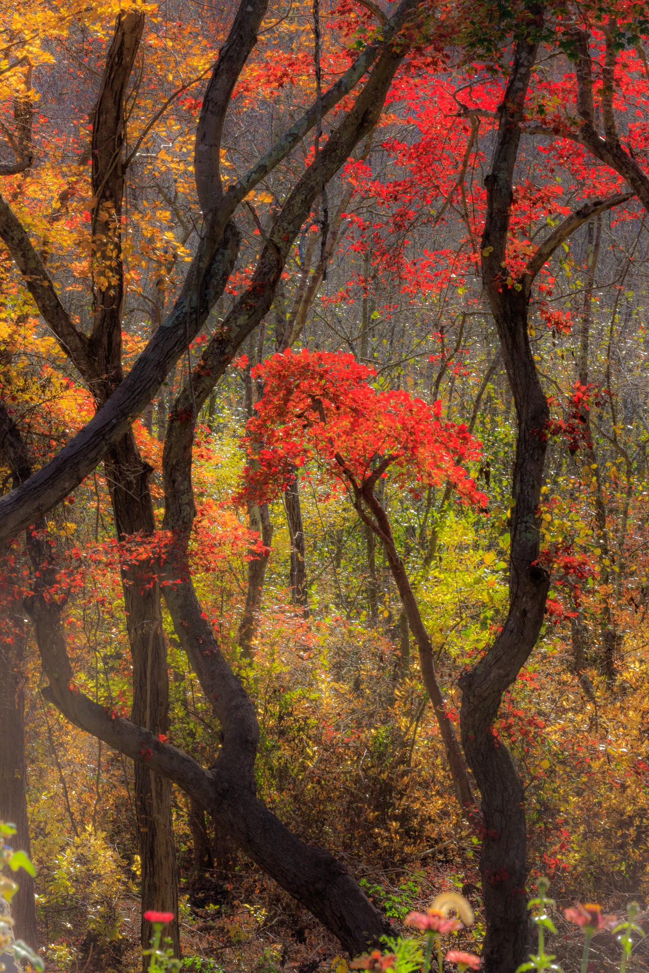 54c39fa9 63e1 43ea b579 f9428cbda476